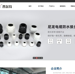 接线盒_电缆接头_防水接线盒-普尔特电气科技（温州）有限公司