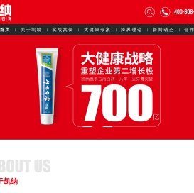 凯纳咨询集团-跨界战略咨询_品牌定位策划公司_全案营销策划公司