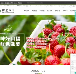 重庆草莓采摘_草莓采摘基地-重庆拾里田间