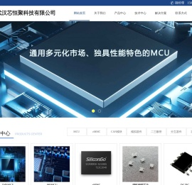 武汉芯恒聚科技有限公司