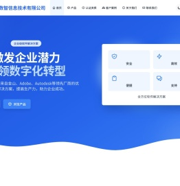 专业软件解决方案提供商