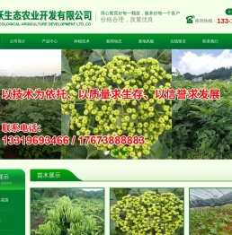 湖南佳沃生态农业开发有限公司-金银花种苗,太子参种苗,猕猴桃种苗,百合种苗,白术种苗