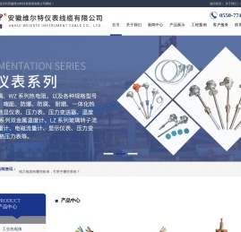 安徽维尔特仪表线缆有限公司