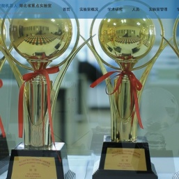 智能机器人湖北省重点实验室