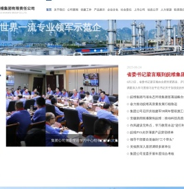 安徽皖维集团有限责任公司