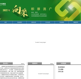 胡智荣文化基金