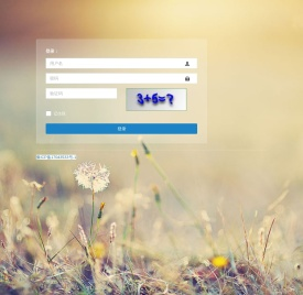 定制软件处理系统