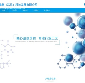 梅奥（武汉）科技发展有限公司