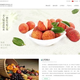 纳斯勒国际贸易有限公司