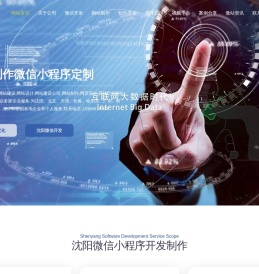 沈阳微信开发_沈阳微信小程序开发_沈阳软件开发-沈阳微信开发公司