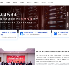 虚谷伟业科技有限公司
