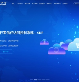任子行-网络空间数据治理专家