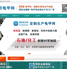 龟甲网生产厂家-安平县博跃金属制品有限公司