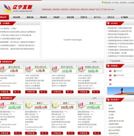 沈阳网站建设|网站制作|网页制作|沈阳虚拟主机|网站空间|网站推广宣传 沈阳建设网站 辽宁互联 lnok.com