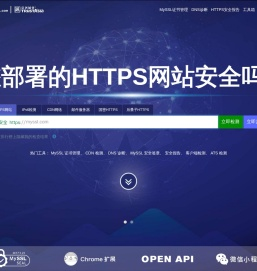 亚数信息-SSL/TLS安全评估报告
