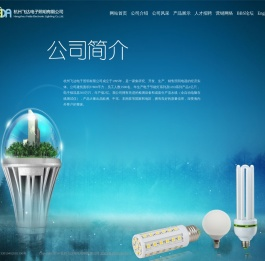 杭州飞达电子照明有限公司