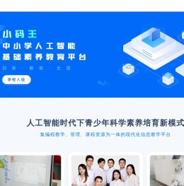 小码王