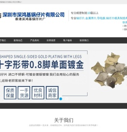 深圳市深鸿基锅仔片有限公司