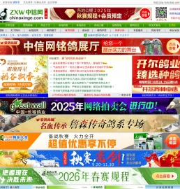 中国信鸽信息网