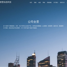 大智慧信息科技