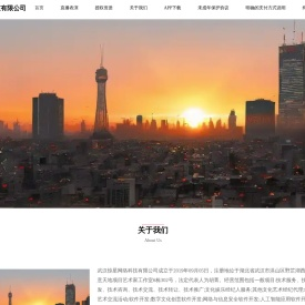 武汉惊星网络科技有限公司