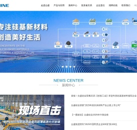 合盛硅业股份有限公司