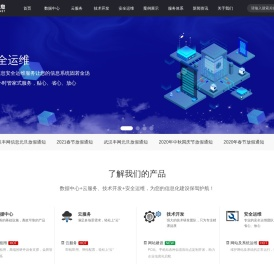 武汉丰网信息技术有限公司-武汉服务器托管租用，软件开发定制的首选服务商，提供最专业的数据中心及信息化服务