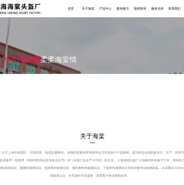 上海海棠头盔厂