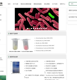 宝赛质粒菌株公司