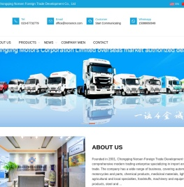 CHONGQING NORSEN FOREIGN TRADE DEVELOPMENT CO., LTD