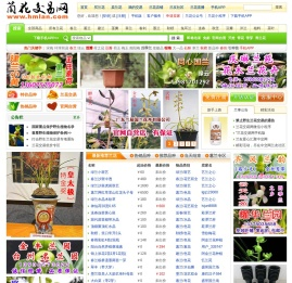 中国兰花交易网 － 兰花拍卖,中兰网,兰草交易,兰花图片,了解中国兰花尽在本兰花网
