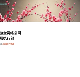 手游金网络