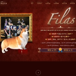 首页 - 柯基犬_赛级柯基犬_威尔士柯基-开心家族犬舍