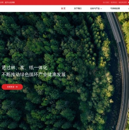 金光集团APP(中国)-林浆纸一体化-纸业集团公司