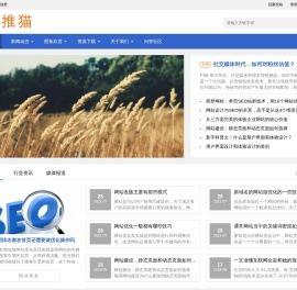 爱推猫续赞_爱推猫续赞