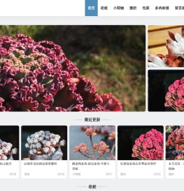 古木派-多肉植物爱好者分享平台,多肉摄影图片百科,多肉景观灵感分享