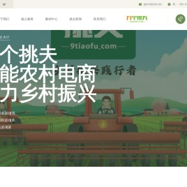 安徽九个挑夫电子商务有限公司