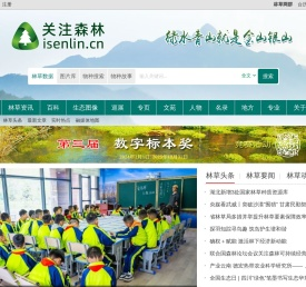 关注森林