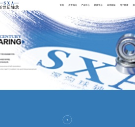 宁波市新世纪轴承有限公司