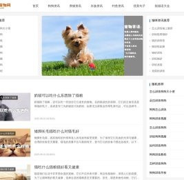 比特宠物吧 宠物资讯 句子 祝福语大全