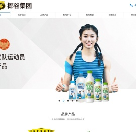 椰谷集团 - 广东绿岛椰谷食品有限公司