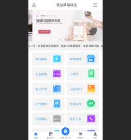 菲尔莱斯科技-专业网站建设、小程序开发、独立站制作专家，助力企业数字化转型