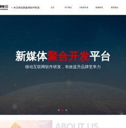中友智能云（连云港）科技有限公司