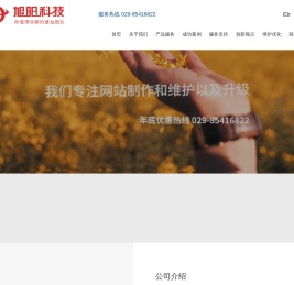 西安网站建设_西安网站制作_西安网页制作设计-旭阳科技