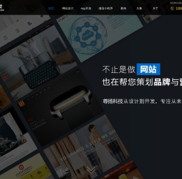 专业软件开发服务-快速、高效、可靠-洛阳尊扬科技有限公司