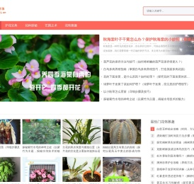 花意之坊_花卉养护乐园，绽放生活之美