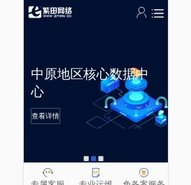 服务器租用_服务器托管_虚拟主机_云主机_vps-紫田网络