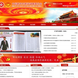 中国新农村新闻调查委员会