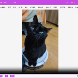 一掌控