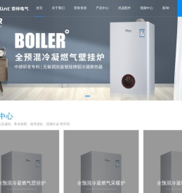 广东燃气采暖热水炉厂家-全预混冷凝壁挂炉-LBWERR壁挂炉-无氧铜双盘管硅铸铝冷凝换热器-广东奇林电气股份有限公司